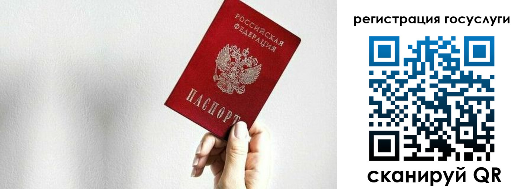 прописка гарантия в Родниках